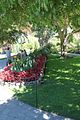 137 - Butchard Gardens  - IMG_1659